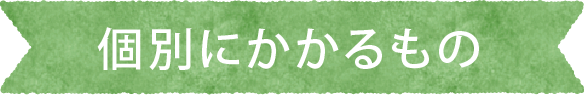 個別にかかるもの